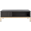 Table basse de rangement 2 portes Tamayo - 111 cm (L) x 54,6 cm (P) x 39,1 cm (H)