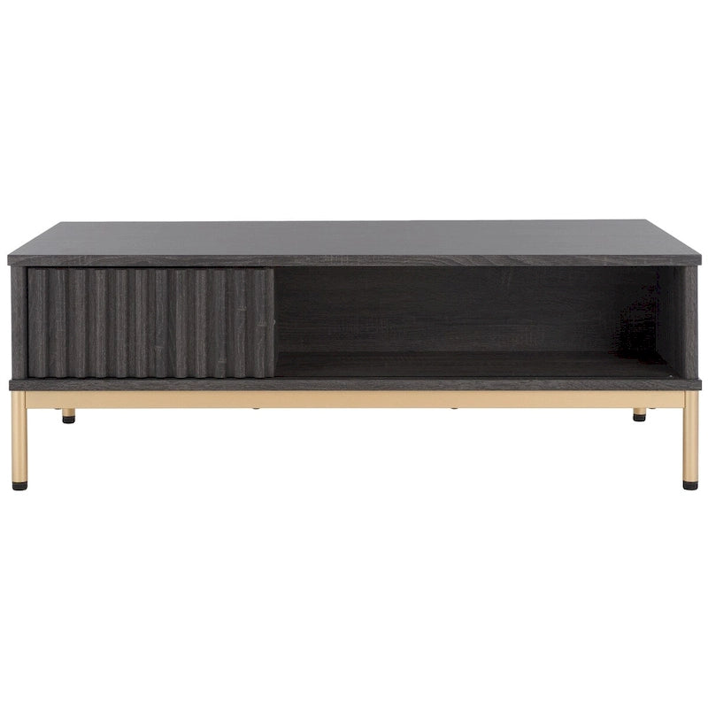 Table basse de rangement 2 portes Tamayo - 111 cm (L) x 54,6 cm (P) x 39,1 cm (H)
